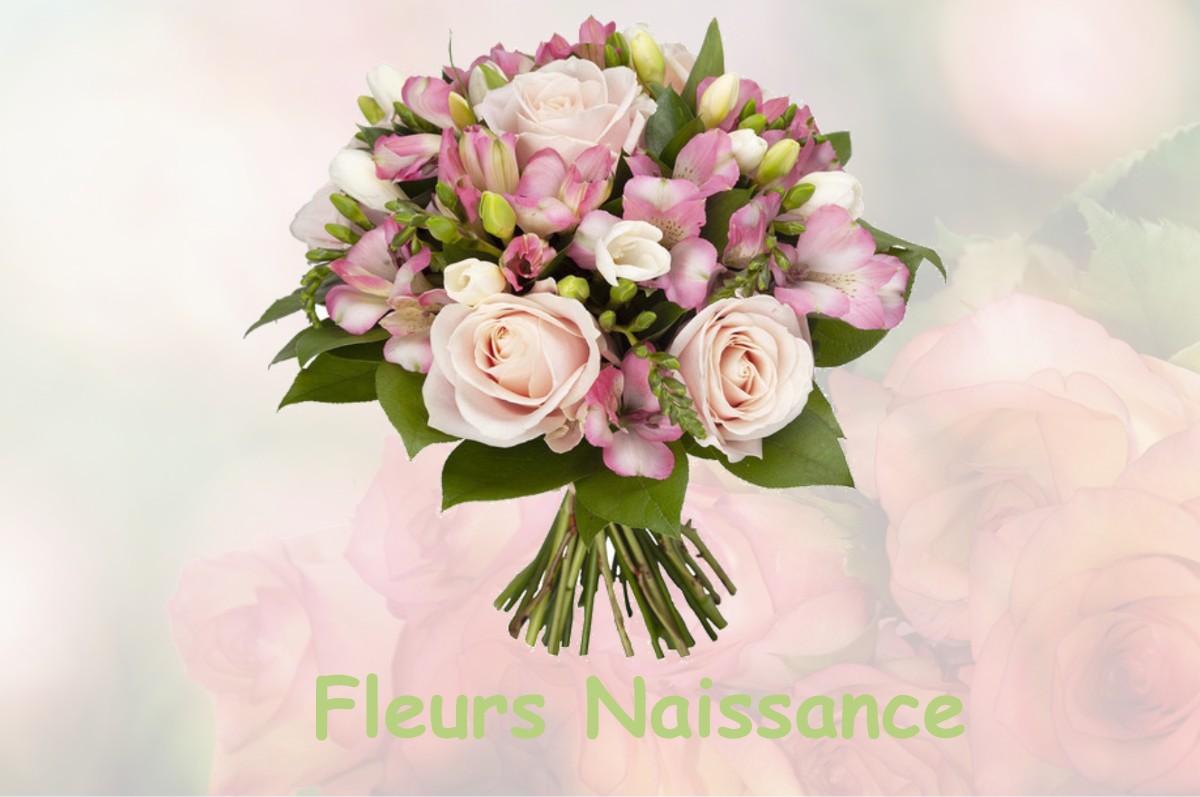 fleurs naissance SAINTE-FEYRE-LA-MONTAGNE