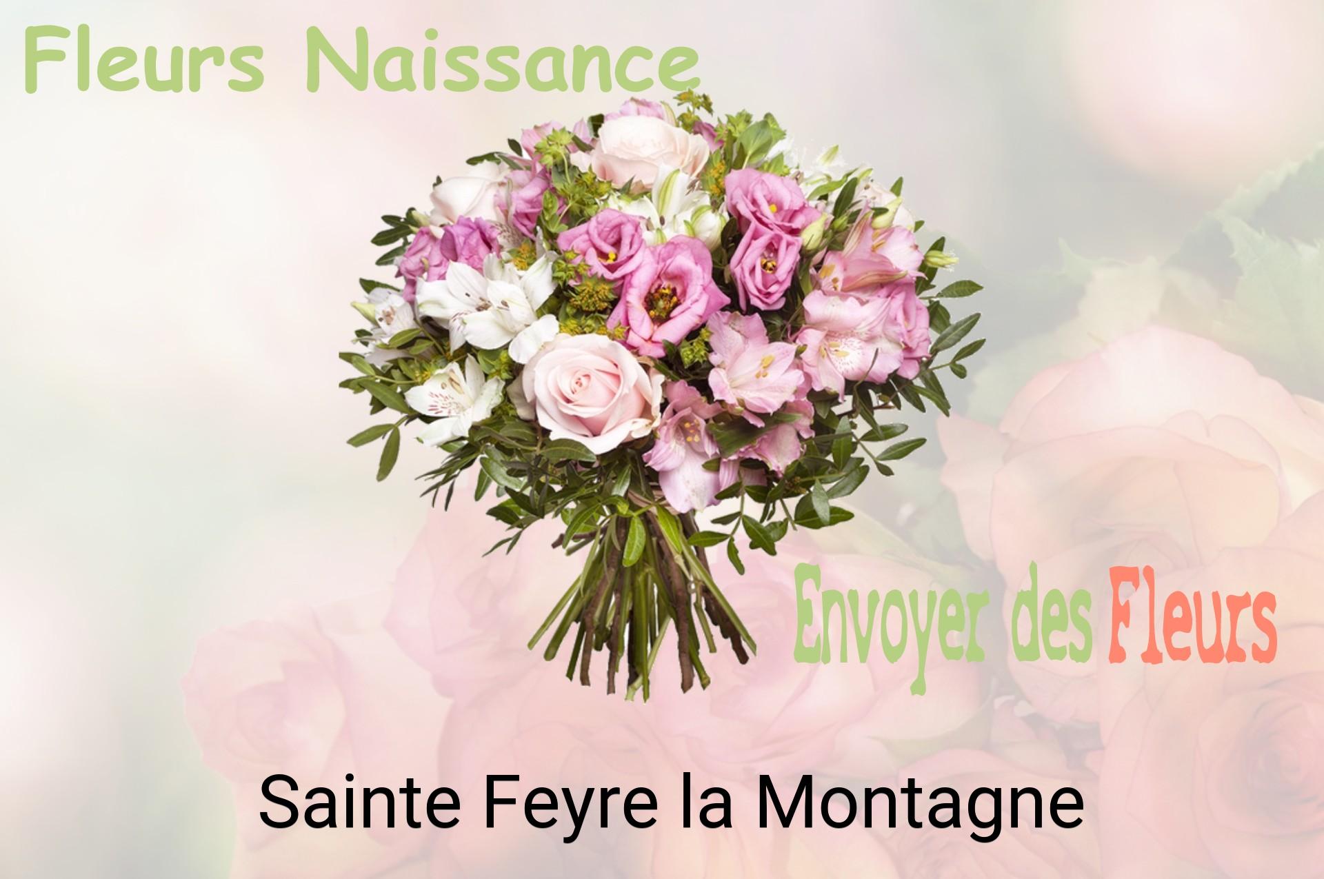 Bouquet de fleurs de naissance livré à Sainte-Feyre-la-Montagne