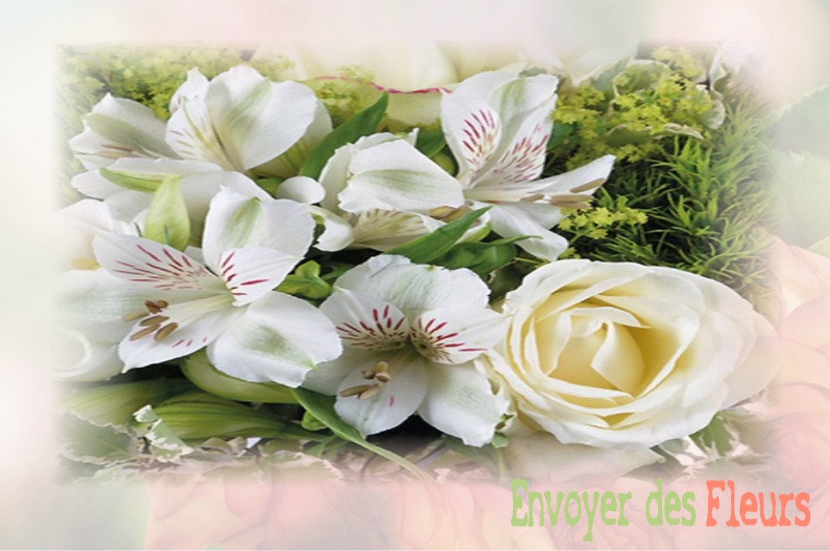 envoyer des fleurs à à SAINTE-FEYRE-LA-MONTAGNE