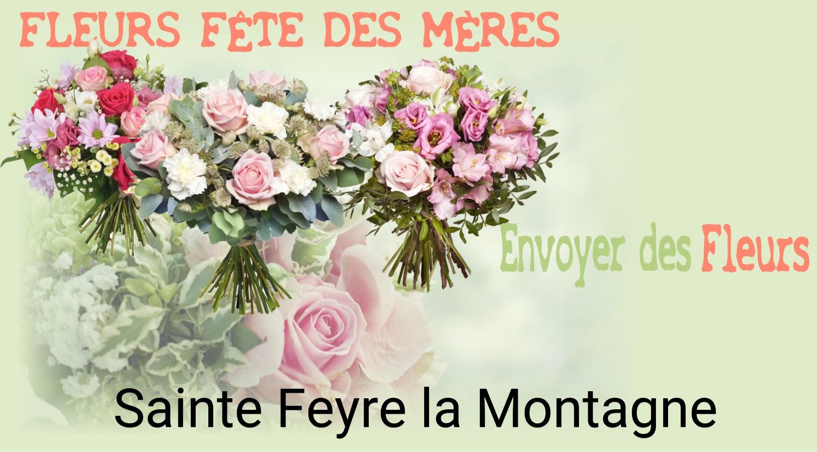 Bouquet de Fête des Mères livré à Sainte-Feyre-la-Montagne